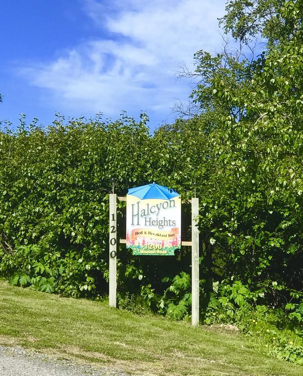 Halcyon Heights B&B/Inn Homer Exterior foto